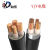 铜芯电力电缆       4+1     YJV 4X10+1