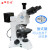 睿鸿金相显微镜上下偏光显微镜带补偿镜检偏器 可正交可测量微米 偏光显微镜标配带-测量目镜