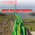 JESERY围油栏轻型固体浮子式水面橡胶拦污带围拦油带 绿色PVC-600 10米