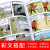 正版丁丁历险记全套22册丁丁在刚果在西藏美洲月球探险漫画书小学生6-9-12岁儿童三四年级绘本动画片连环画卡 丁丁在刚果