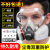 全面罩防毒面具生化防护面罩电焊呼吸器喷漆化工气体囗罩专用 402配件10包活性炭