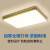 木府高端新中式全铜吸顶灯LED大气客厅灯中国风餐厅卧室灯具简约主灯 长方形大号长80宽60厚6CM带遥控