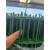 铁丝网围栏绿色包塑硬塑果园菜园隔离防护防鼠塑料养殖拦鸡网 3厘米孔2米高18米长22mm粗32斤草绿色