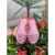 梅丽莎（melissa）大童童鞋24年巴西圆头果冻鞋女童蝴蝶凉鞋 金色 内长21.5cm国码34