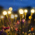 维亿曼 太阳能户外蜜蜂草坪灯灯串灯满天星装饰灯氛围灯地插灯6头