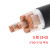番禺五羊 电线电缆YJV 3*95+2*50平方 5芯全项国标铜芯电力线缆 1米