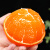 探味君 四川青见果冻橙 当季新鲜水果桔子丑柑橘子 生鲜带箱 3斤 尝鲜装 单果60-65mm