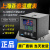 上海亚泰NE-6411-2仪表温控器NE6000-2温控仪NE-5411数 NE54112 K 400度