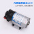 微型高压隔膜泵自吸水泵DP-60直流泵12V24v喷雾增压泵 DP-125-24V-不带压力开关