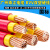 国标珠江电线电缆ZC-BVV95 120 150 185 240平方双塑纯铜阻 国标 185平方 红色 1米
