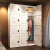 iosn塑料衣柜成人特大衣柜家用卧室出租房用新款2023简易组装结实耐用 升级磁吸门-6格全格收纳装的多