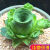 CLCEY多肉植物肉肉植物组合花卉盆栽室内套餐玉露绿植稀有品种大颗好养 西瓜红婴儿手指2-5CM 含盆