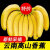 【现发】云南高山香蕉香蕉直发大果芝麻焦薄皮蕉整箱当季 2斤试吃装 特级蕉【送人佳品】
