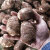 2023年新鲜山东芋头现挖农家毛芋头滑糯自种芋艿香芋毛芋头5斤3斤 5斤 中大果