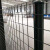 熙消天下   荷兰网 机场防护驱鸟铁丝网围栏 防护网护栏网隔离网 1.2*30m一卷 绿色 