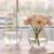 郦狼北欧玻璃花瓶透明创意客厅插花玫瑰百合花向日葵家用干花装饰摆件 2016小号透明