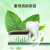双莲（Twin Lotus）TwinLotus双莲原味植物泰国进口牙膏 原植牙膏口气清新150g泰版 150g 3支装