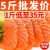 新鲜三文鱼中段刺身生吃整条三文鱼中段寿司生鱼片日式料理即食 0.5kg 【鲜惠装】一斤