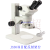 江南JSZ6体视显微镜（生物解剖镜）/8-50倍放大/高清晰大景深 永新双目透反射