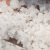 飞权 工业盐融雪剂 日晒盐锅炉软水融雪除冰 工业粗盐 不可食用 50kg 一包价