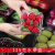一次性水果盒 超市一次性水果包装盒透明塑料盒水果500M水果店一 1813H6黑色-整箱1500个