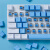 初构想（CHUGOUXIANG）87键机械键盘青轴红轴笔记本电脑外接男生女生电竞游戏专用键盘 104键白蓝拼色20种灯效+鼠标 青轴