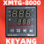 日曌松川瑞普华包装机温控器XMTG-8000 B8181AM1 B8081AM温控定制 XMTG-B8381AM K型
