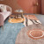 静月ins北欧地毯客厅卧室床边波西米亚地毯简约现代满铺家用可洗 简约18 80*120cm