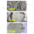金刚砂粉24目-6000目研磨/黑碳化硅/机抛磨料玉石玛瑙琥珀抛光 进口BM光粉(500克)