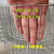 镀锌铁丝网钢丝网鸟笼材料防护网养殖鸽棚围网网片围栏镀锌网加密 一件是一米长需要多少米长购买