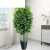 仿真发财树盆栽室内客厅落地装饰绿植假树树塑料树 1.5m辫子发财 三杆袖珍葵1.3M