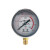 YN60耐震压力表径向0-1.6MPa抗震液压水压气压真空表负压表指针式 0-10MPA