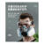 HKFZ防毒防尘工业粉尘面具全面罩喷漆呼吸防护罩防烟全脸 升级款硅胶防尘毒7件套全密