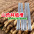 轩之准 种植山药神器模具槽专用的淮山铁棍棒立体浅生长引导1.2加 1米PVC超厚50丝50条耐用5年