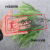 嘉易源（JIAYIYUAN）JIER定制透明标识英文，背胶贴纸PVC透明标识牌800*330*0.06mm