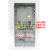 德威狮（CHNT透明三相1户塑料电表箱套装动力电表箱380V三相四线 计数器款10-40A上海一德开关