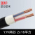慧远 电线电缆YJV两芯 2x16平方 电缆平方铜制电缆国标 足方足米（1米）