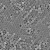遄运单分散聚甲基丙烯酸甲酯微球 PMMA微球 微塑料（0.05—200微米） 巯基化微球 2克
