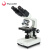 XSP-36-1600X 双目专业光学 生物显微镜学生实验检测养殖 XSP361600X（双目）500万电子目镜