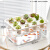 宝贝故事（BABY STORY）塑料小鱼缸带定植篮 桌面鱼缸创意透明鱼菜共生小鱼缸方形金鱼缸 绿色