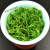 食芳溢 茶叶 特级2023年新茶都匀特产毛尖明前嫩芽茶叶贵州高山云雾绿茶 100克+试喝 袋装
