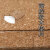 中空玻璃软木垫片泡棉EVA黑白色带胶保护垫片防摩擦防震静电吸附 带胶4mm/1箱8