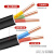 沈缆红星 铠装电线电缆YJV22 3*10+1*6平方四芯国标铜芯地埋电缆线1米