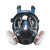 婕茵桐放毒氧气面罩防毒面具全面罩全脸防尘防烟打农药化工气体喷漆防护 6600防雾全面具一套