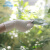 迪航（DIHANG） 手套 加厚耐磨一次性白色丁腈防水卫生手套 m/l码（1）
