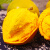 蛋黄果新鲜5斤海南云南特产当季热带水果一整箱 2斤