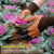 得筑工品 园林爪子手套 种花种植防刺防水拔草手套 乳胶挖土园艺手套 咖啡色双爪 