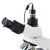 显微镜电子目镜:300万500万像素:摄像头含软件:SCMOS相机目镜配件 白色:500万像素