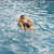 桦帆冲浪板儿童 游泳漂浮板海边泳池打水板趴板救生泳板水上滑水板浮 ABC冲浪板