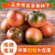 丹东草莓柿子5斤番茄铁皮柿子绿腚油柿子新鲜西红柿自然熟正宗 普通快递精品果 1斤